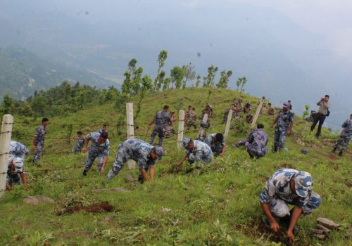 नीलकण्ठ–४ रिजालथोकको भगवती धारापानी सामुदायिक वनमा वृक्षारोपण