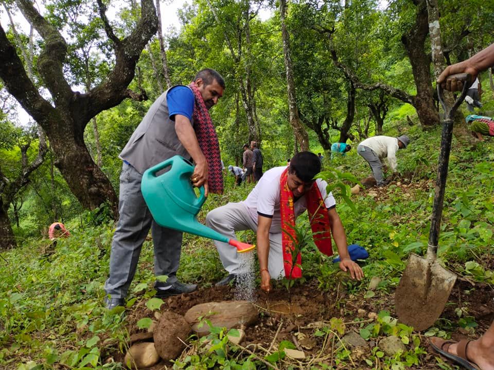 सामुदायिक वन दिवसको अवसरमा धादिङमा बृक्षरोपण