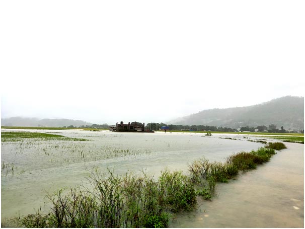 भेरी नदीमा जलस्तर खतराको तह पार