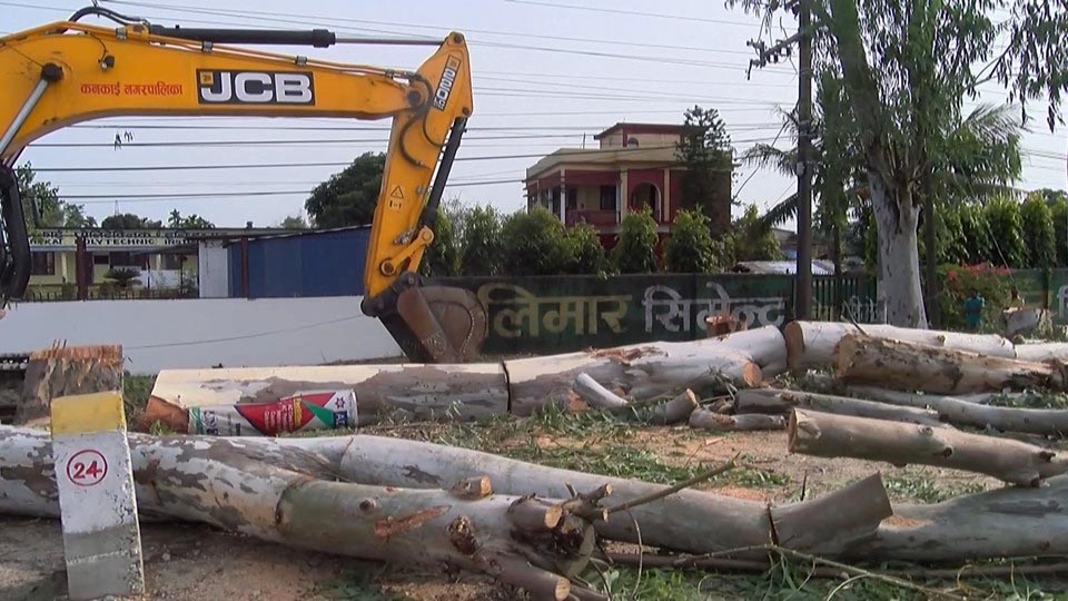 पृथ्वी राजमार्ग विस्तारका लागि थप ४६६ रूख काटिँदै