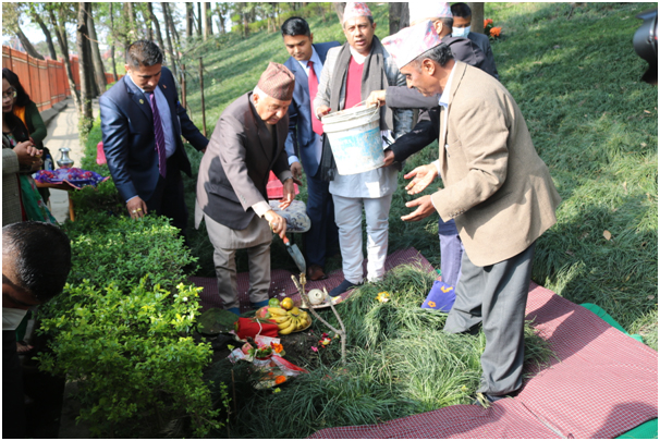 राष्ट्रपति पौडेलद्वारा वनकालीमा वृक्षरोपण