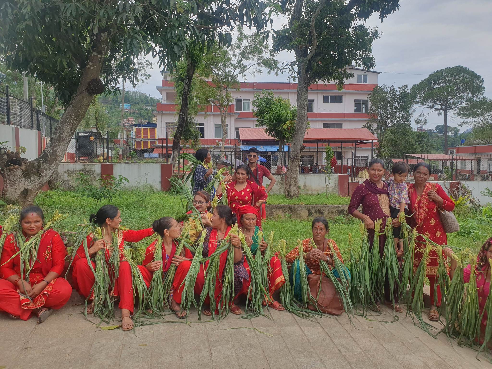 मकै सखाप पारेपछि बाँदर नियन्त्रणको माग राख्दै किसानको नाराबाजी