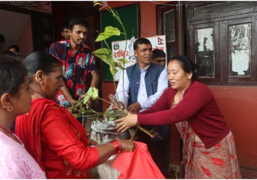 किसानलाई घाँसका बिरुवा वितरण