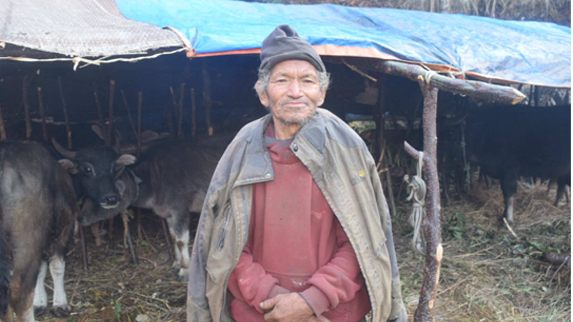 म्याग्दीका घुम्ती गोठ रित्तिँदै