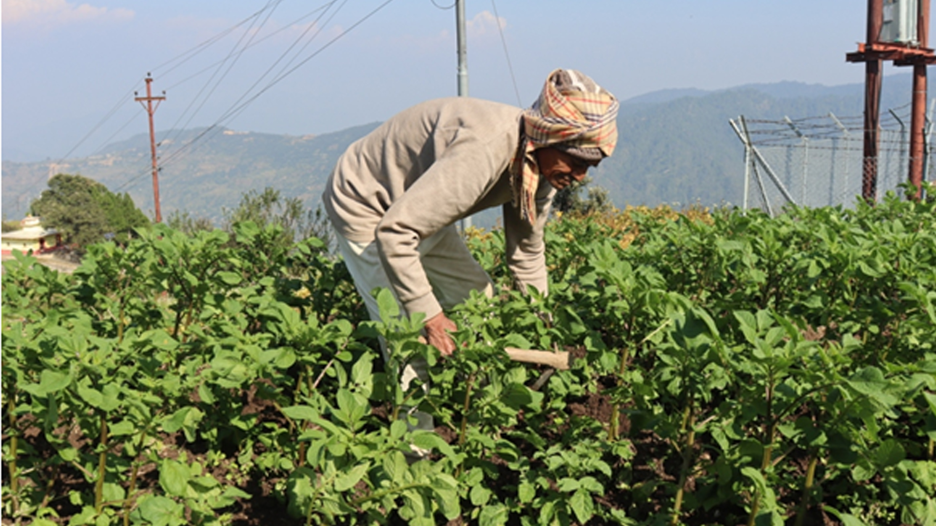 नब्बे वर्षको उमेरमा कृषि र पशुपालनमा सक्रिय